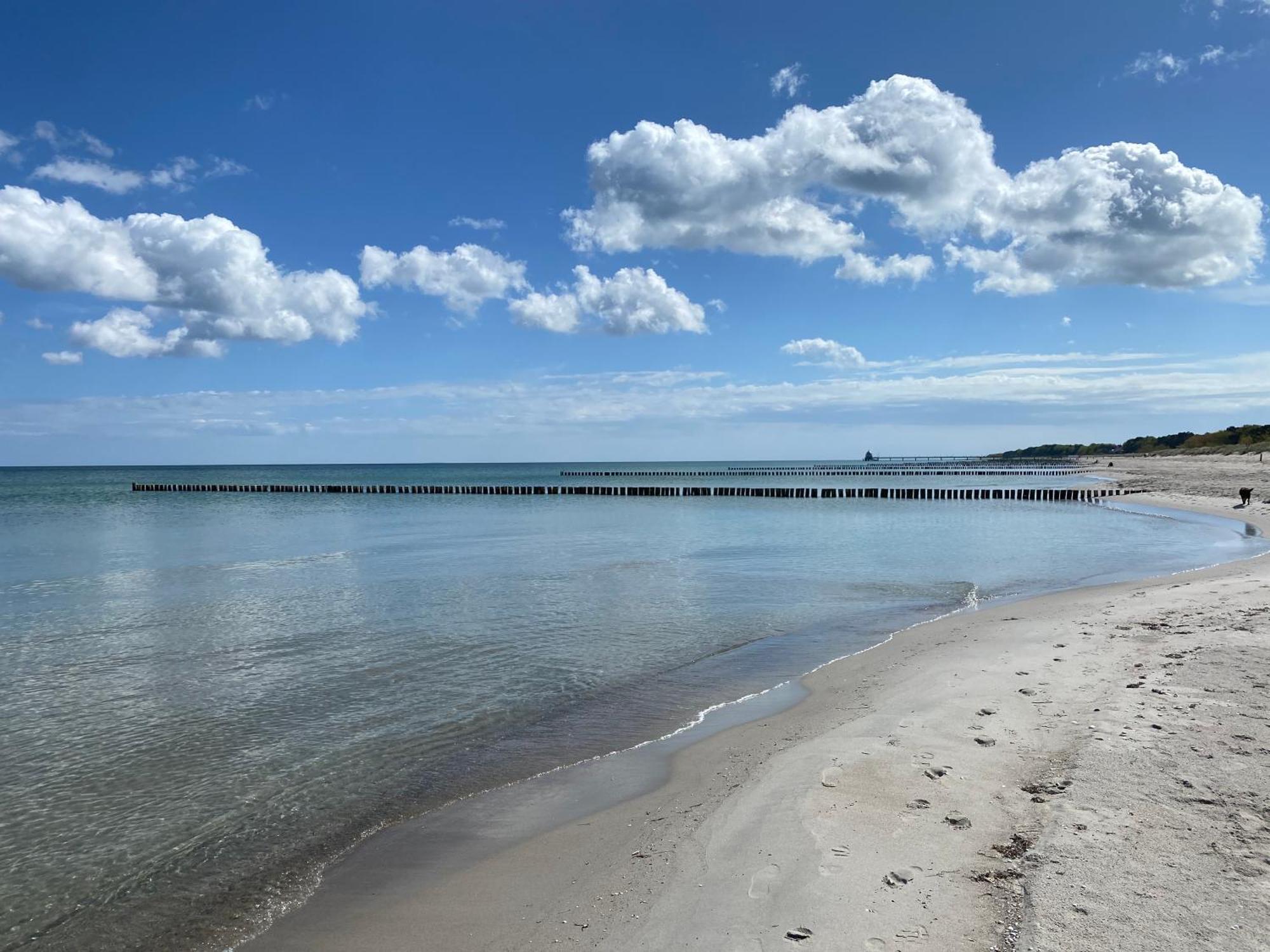 Schwalbennest Villa Zingst Exteriör bild