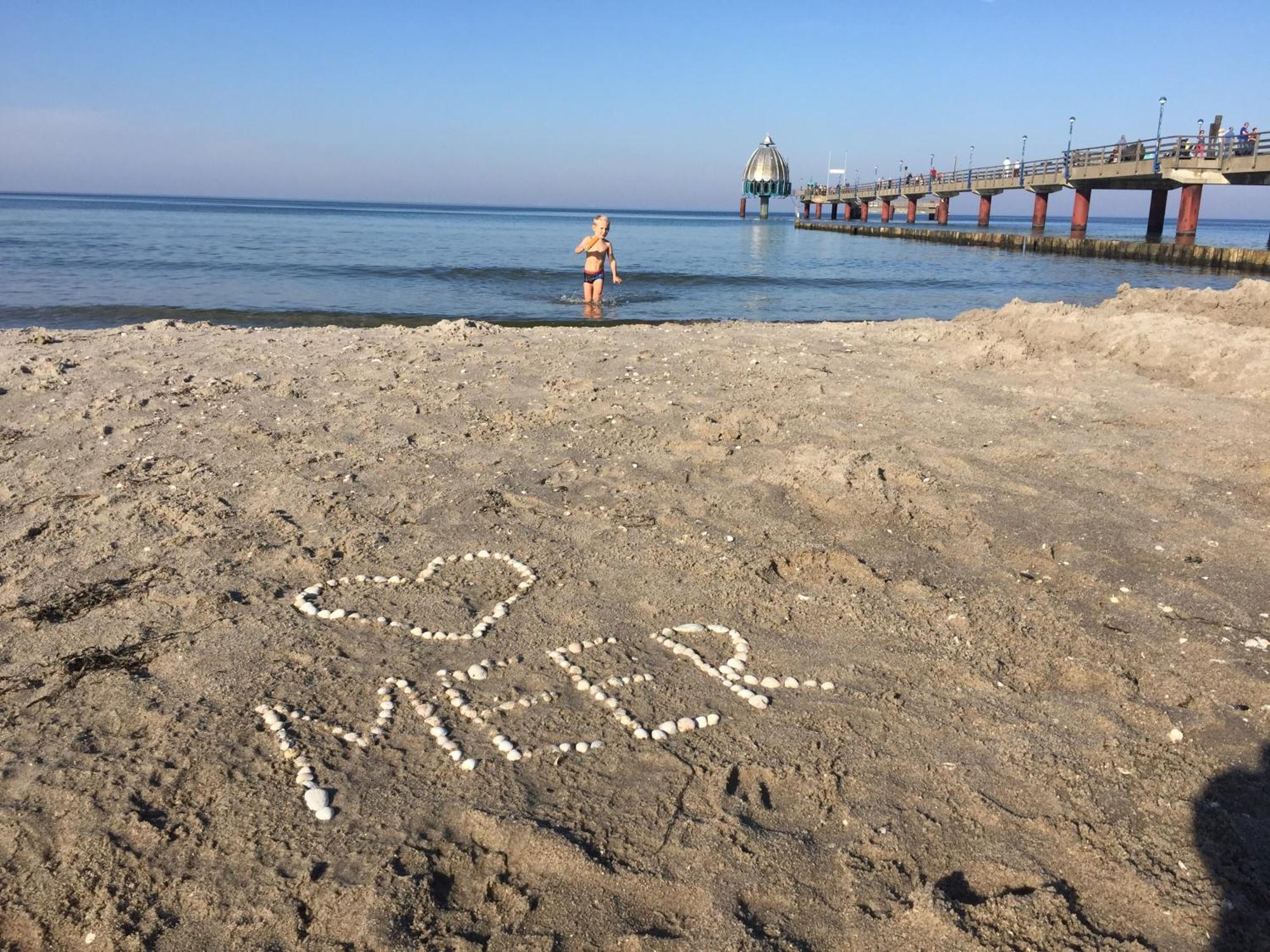 Schwalbennest Villa Zingst Exteriör bild